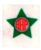 Plastico Nora – Escudos de Futebol – Associação Atletica Portuguesa ( RJ ) – Anos 60