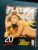 Playboy Mirella Santos – A Ex do Latino – Nº 385 – Ano 2007 – Revista Lacrada