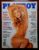 Playboy Nº 246 – Ana Elize (Revista com Pôster) Janeiro 1996
