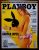 Playboy Nº 380 | Janeiro/2007 | Andrea Lopes — Tetracampeã de Surfe | Stephen King & Pamela Anderson | Exemplar de Assinante