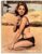 Revista Calendario Hollywood – Calendario Erotico – 1967