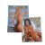 Revista Playboy Luize Altenhen e Scheila Carvalho . Capa Dupla. Revista Lacrada – Dez 2001. n. 317.