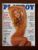 Revista Playboy N 246 – Ana Elize – Janeiro 1996